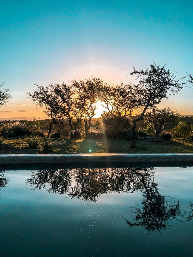 Finca Granero ポトレロ・デ・ガライ エクステリア 写真